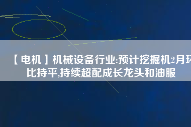 【電機(jī)】機(jī)械設(shè)備行業(yè):預(yù)計(jì)挖掘機(jī)2月環(huán)比持平,持續(xù)超配成長(zhǎng)龍頭和油服
          