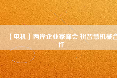 【電機】兩岸企業(yè)家峰會 拚智慧機械合作
          