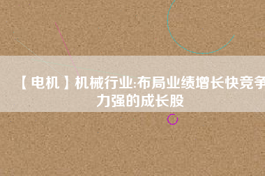 【電機(jī)】機(jī)械行業(yè):布局業(yè)績增長快競爭力強(qiáng)的成長股
          